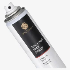 Paul Green 1380 Brillant Wax Spray Neutral