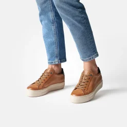 Paul Green Pauls Brown Hot