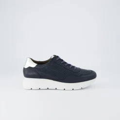 Paul Green Sneaker Blue New