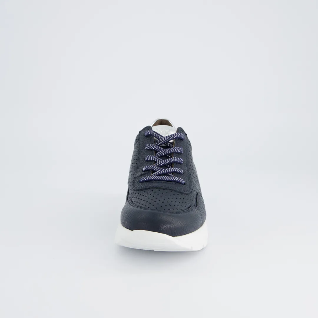 Paul Green Sneaker Blue New